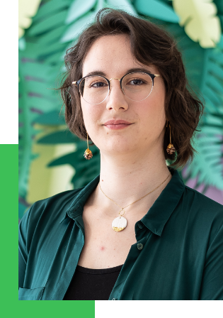 Image Amethyste Molin